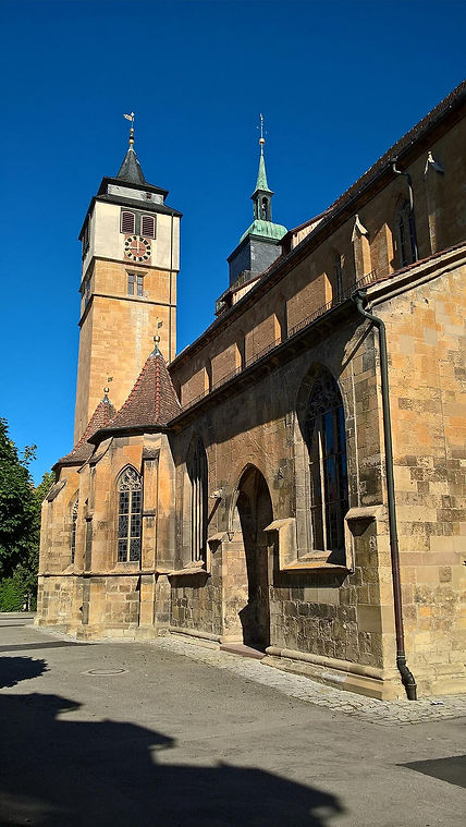 Innenraum der Bartholomäuskirche in Markgröningen, gotisches Gewölbe