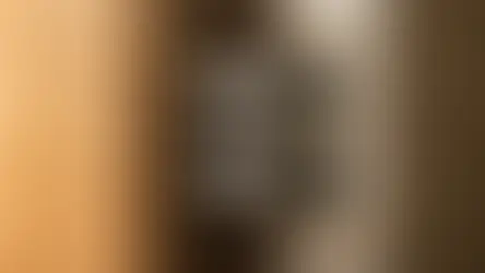 Zwei Stahlbolzen einer Bandseitensicherung greifen in die Aufnahme einer Stahlzarge ein