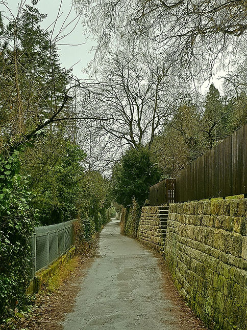 Blauer Weg, schmaler Waldweg mit Laub und Bäumen in Stuttgart-West