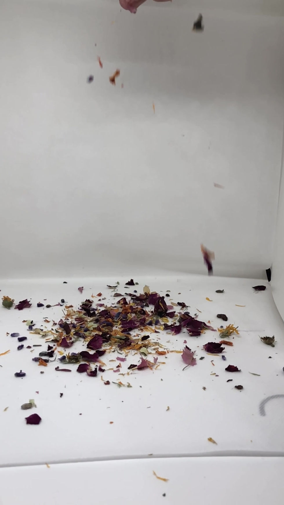 Thumbnail: Botanical, Flower Wedding Toss Confetti, Ecofriendly, Biodegradable, Victorian