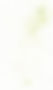 new-green-ink.jpg