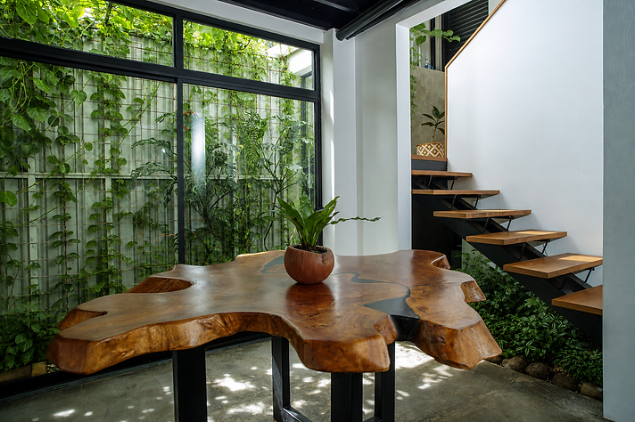 casa tb  (2).png