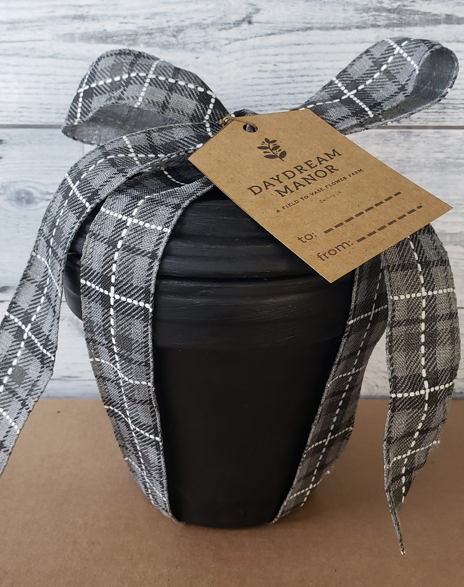 Amaryllis Forcing Kit