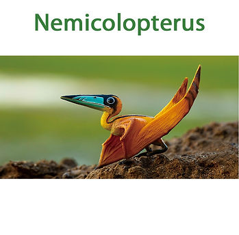 PNSO_Nemicolopterus4.jpg