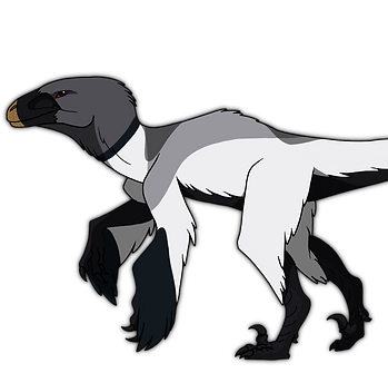 Gull_edited.png