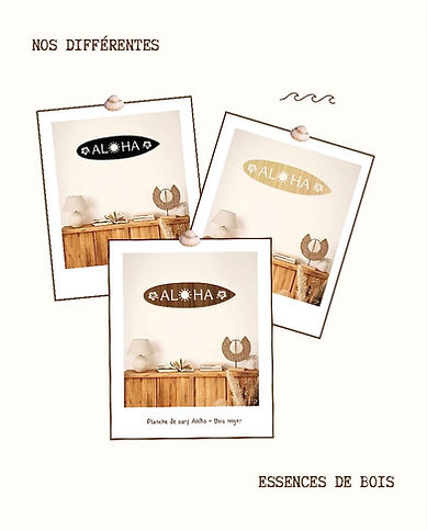 Image 21-03-2026 à 15.14.jpeg