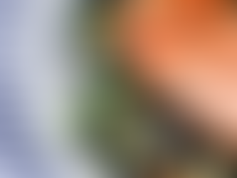 10 Delicious Foods That Reduce Stress and Promote Eye Health