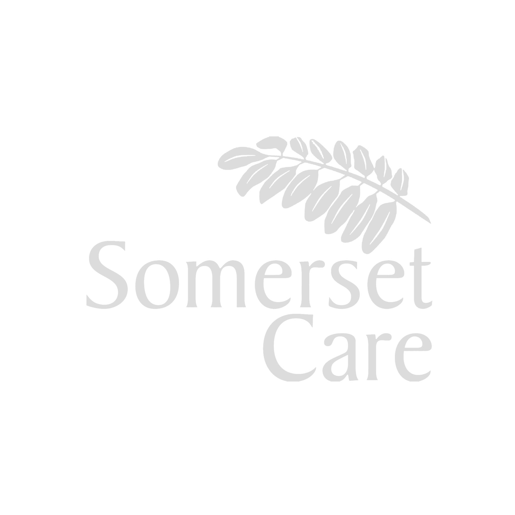 Grey-Somerset-Care.png