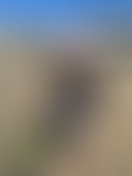 When & How to Catch Dungeness Crab?