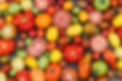 heirloom tomato pizza