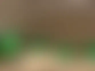 Happy St. Patrick’s Day from Performance Financial Group