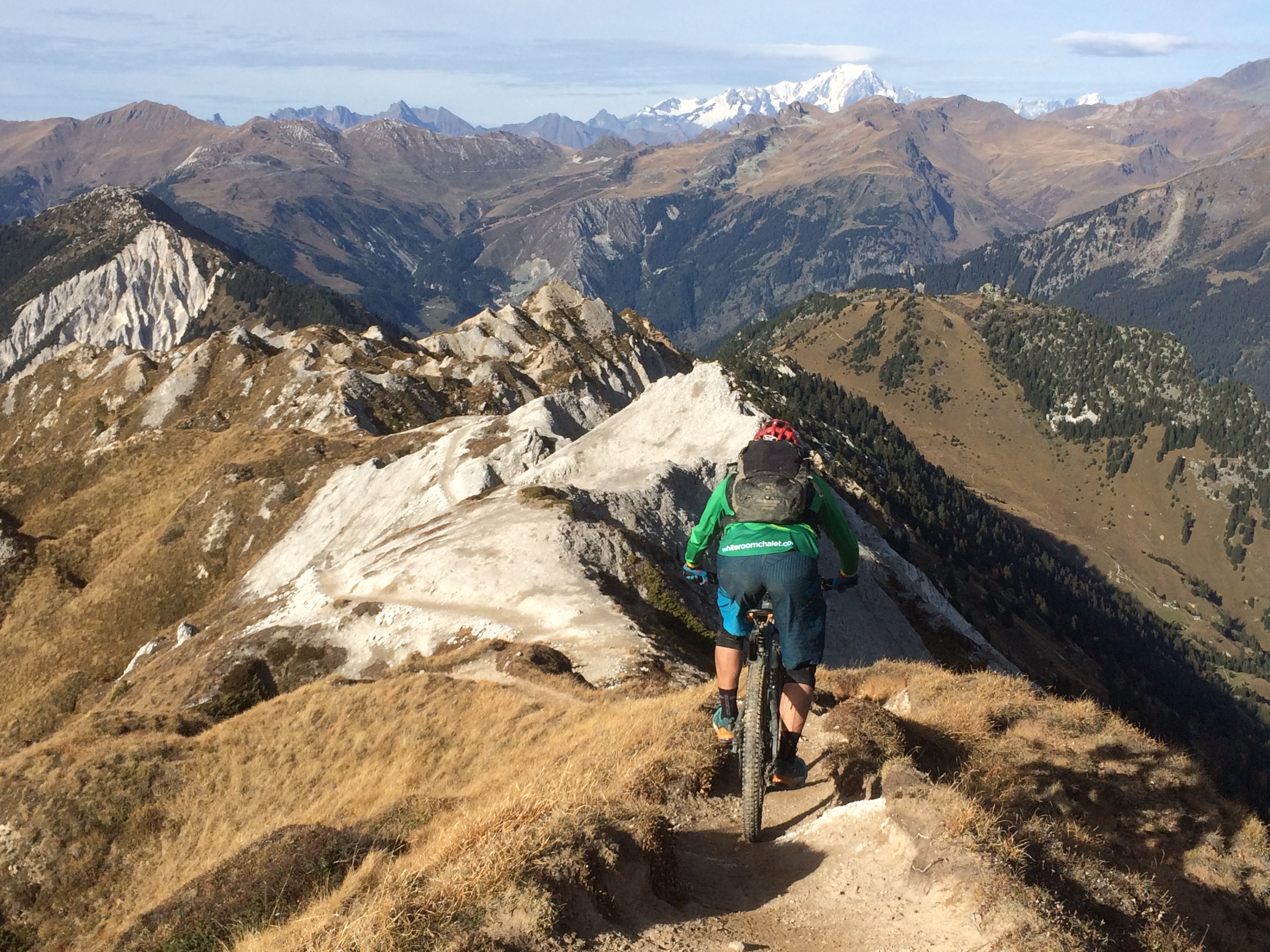 white room mtb