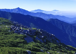IMG_20200821_233655_715_edited.jpg