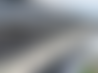 Dachrinnen in Reinach – Zuverlässiger Schutz für Ihr Zuhause