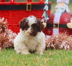 481922943_650579870858682_3643382664597625466_n