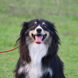 493227906_122127030878723365_1700323847048159167_n