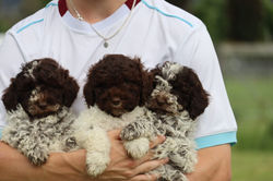 481910201_649717147611621_5148724118362178135_n