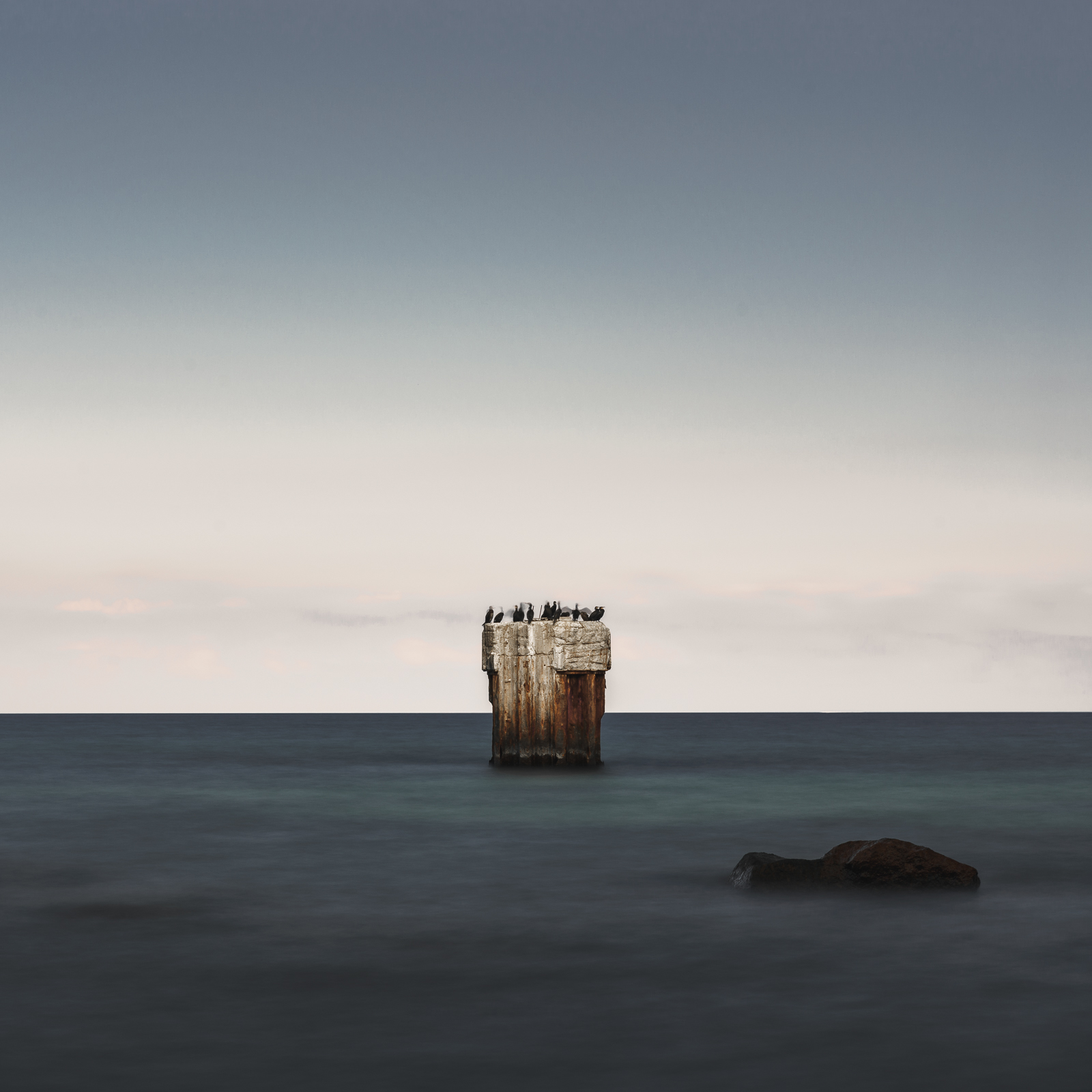 _DSC4784_Nordufer Wittow_Rügen_Vogelwache.jpg