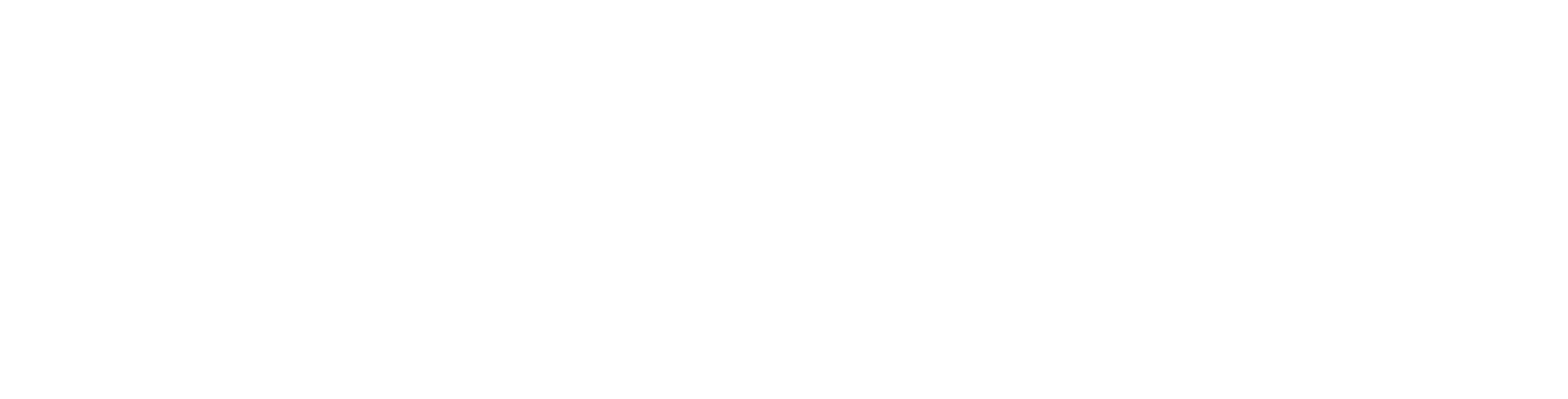 Logo_weiss_Schriftzug.png