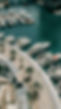 7b01ee18-879e-4632-894d-972ce21a00f6.jpeg