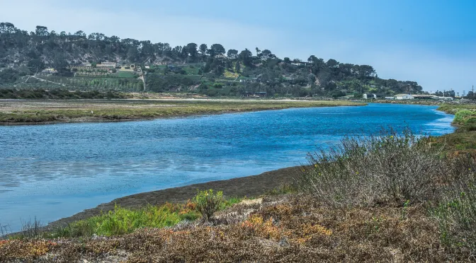 Hike - Coast to Crest Trail at San Dieguito Lagoon (Del Mar) - 10am