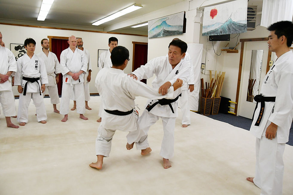 The flow of Bunkai from Passai 4
