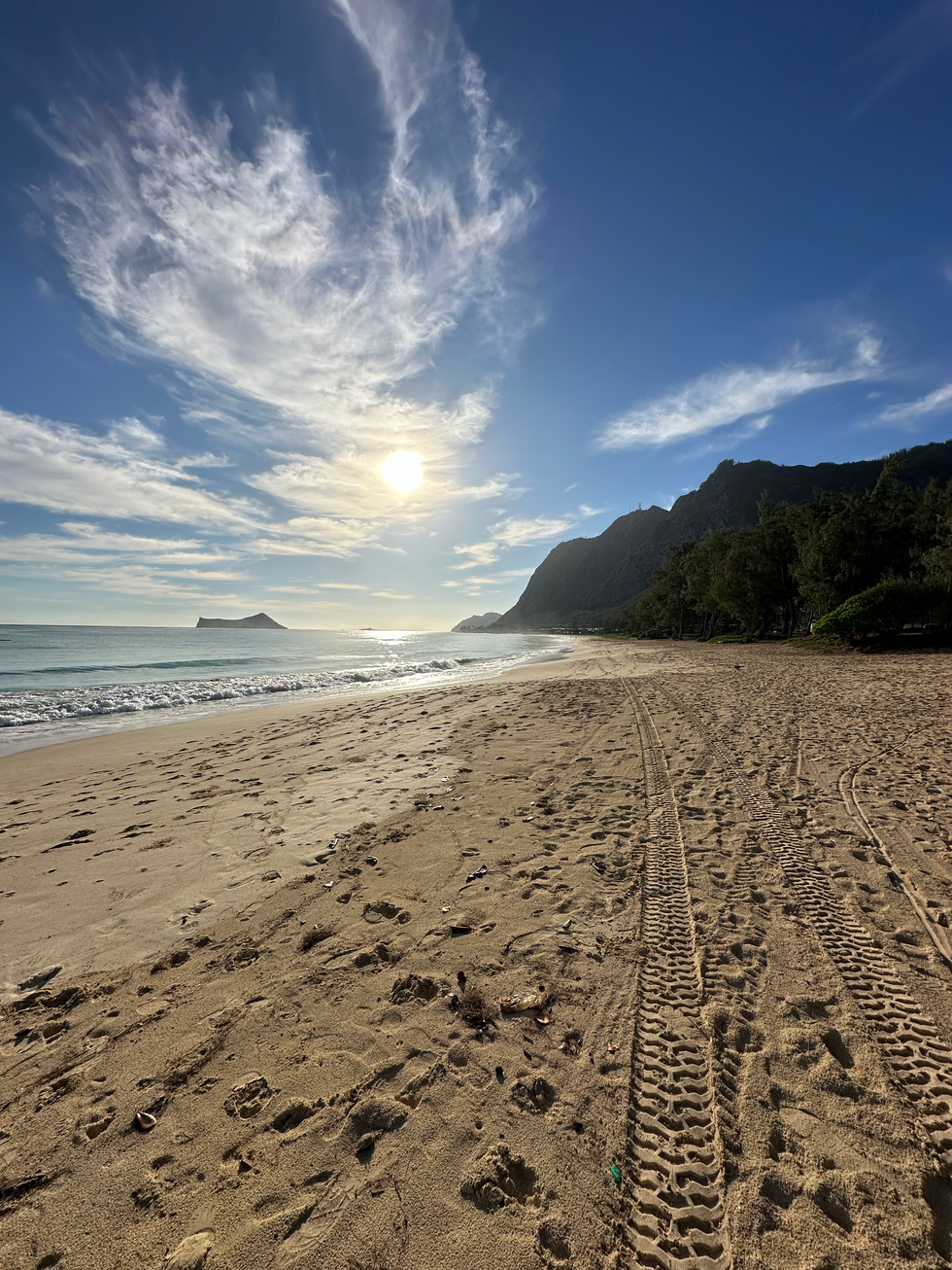 Hawaiian Beach