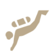 Image 20.png