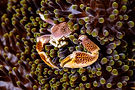 2025_06-Komodo-Bali-iLike-32.jpg