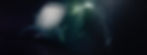 Homepage Maledives Liveaboards.jpg