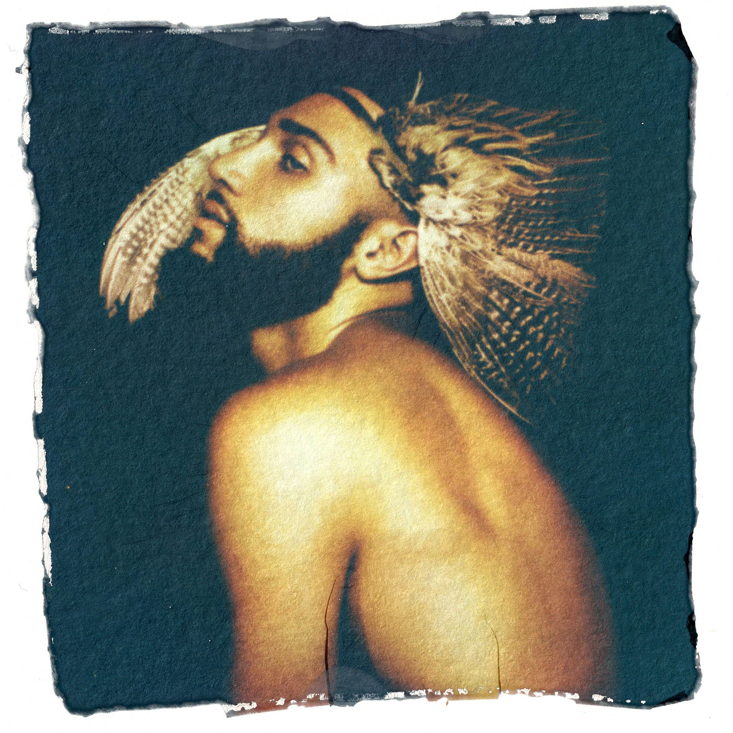 Polaroid Emulsion Transfer- Feathers