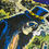 Miniature : Sérigraphie "Slash à Paris" - signée par Slash - 50 exemplaires numérotés