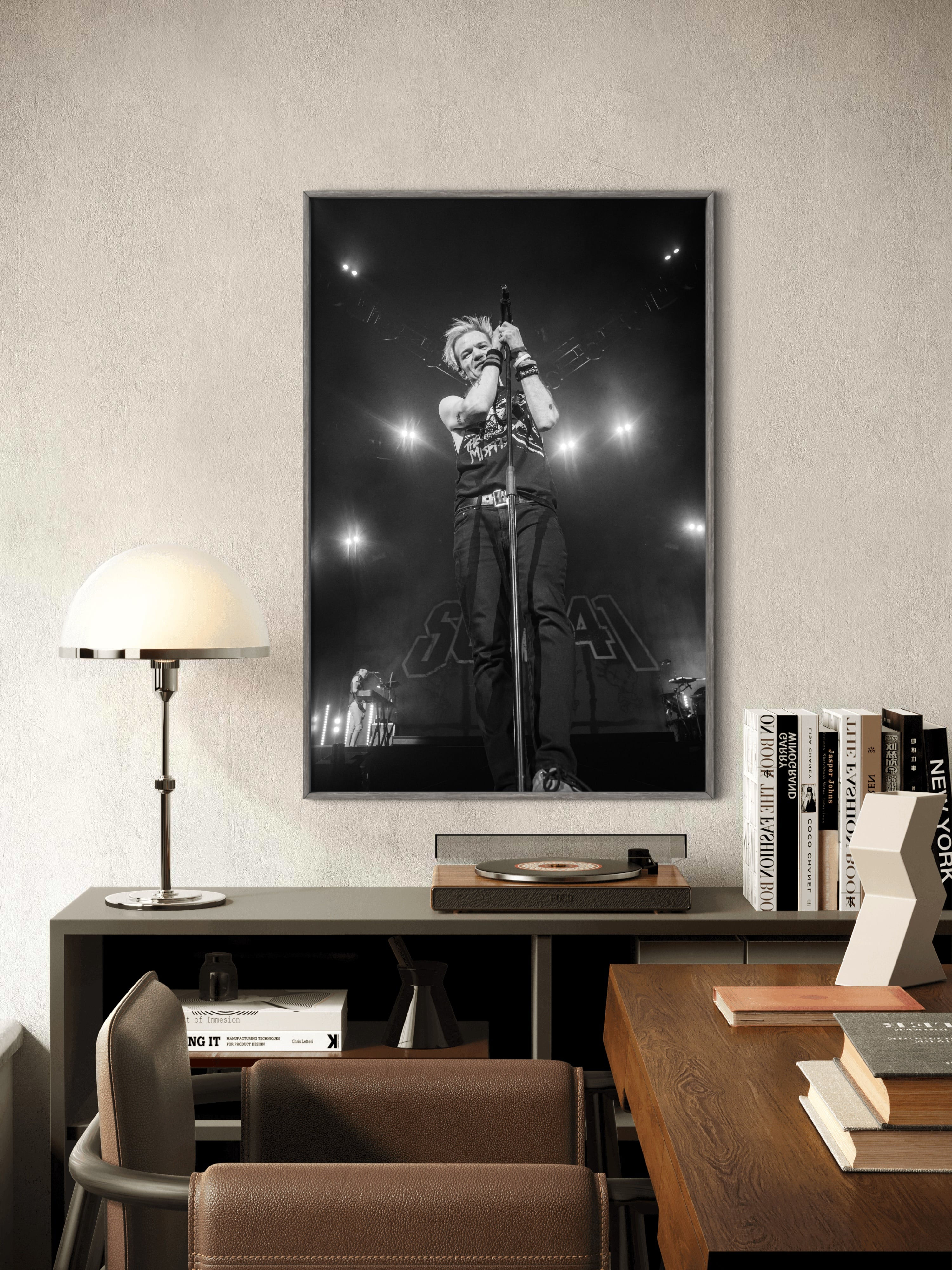 Tirage photo - Sum 41 "The Last Show" - Deryck and the stars