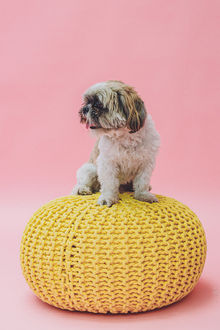 צילומי גיל שנה בסטודיו