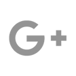 Grey G+ Icon