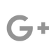 Grey G+ Icon