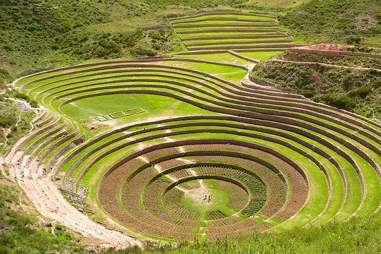 Moray