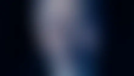 Portrait of Rector of University of Latvia