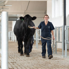 CAN Image GuelphBarn-1 2022.jpg