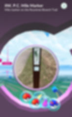 Screenshot of Pokémon GO on the Rountree Branch Trail
