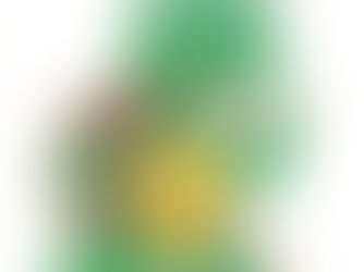 Sassy’s Vacation a Hit with Students