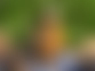 Elementary Students Connect Nature and Literacy