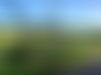 Restoration Project Updates