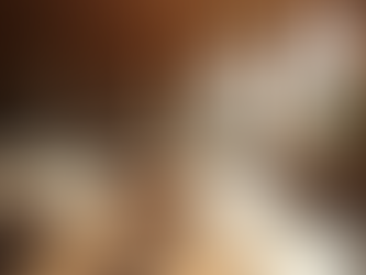 Discover the Charm of EQF Lounge Toronto