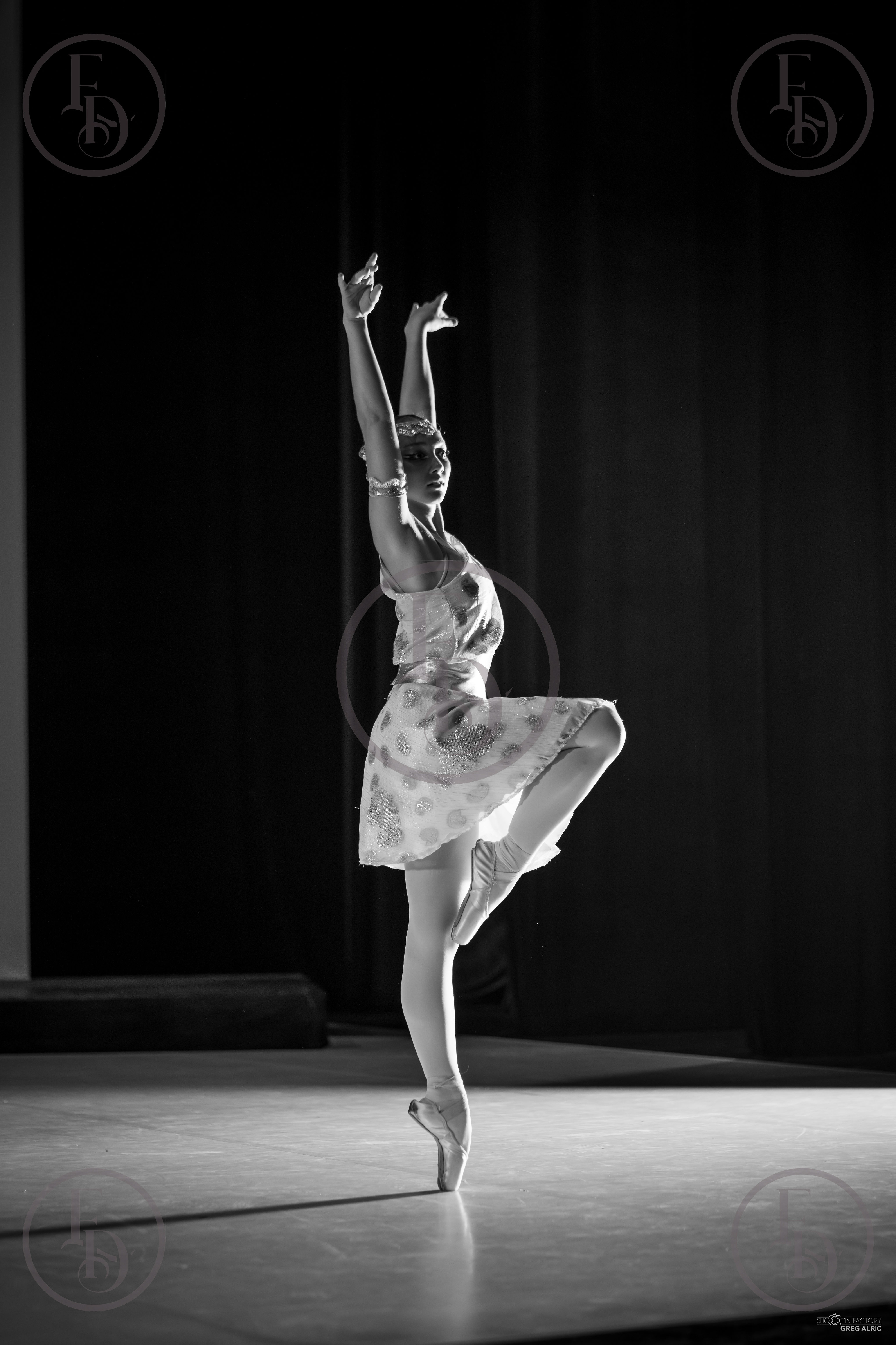 Photo Spectacle 2026 - 013