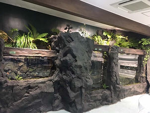 オオサンショウウオ水槽.jpeg