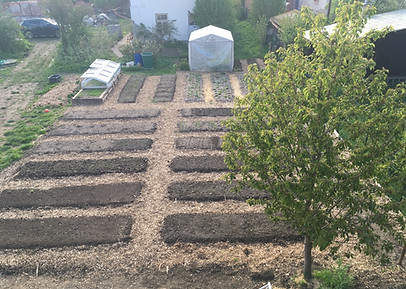 7108DCEC-2704-43AB-A55D-2E9FF5B96E44_1_1