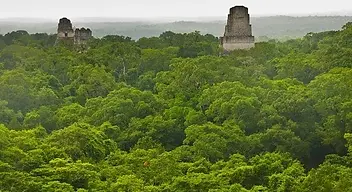 Tikal-Guatemala-Maya-jungle-view.webp