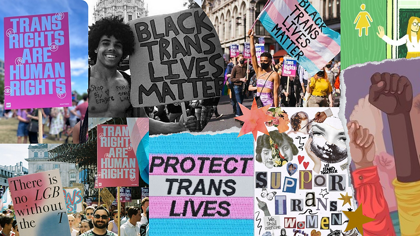 colagem trans.png