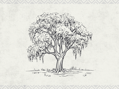 Lone tree against dusty gray background